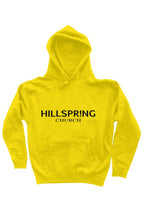 Load image into Gallery viewer, Hillspring church Does not play well with demons Hoodie
